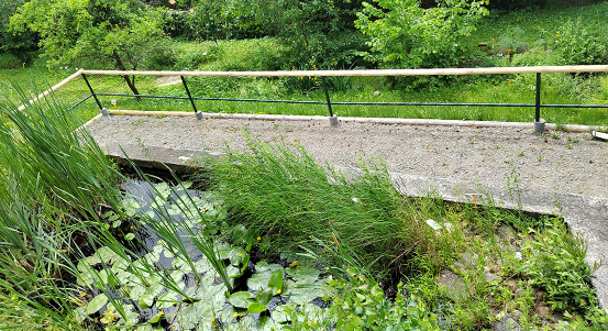 Podzim v zahradě bude s komentovanou prohlídkou i hudbou