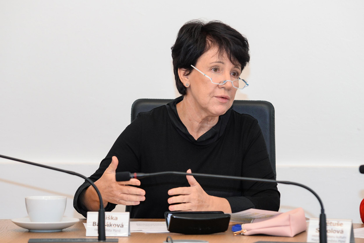 Představení programu Roku české hudby v Plzni (fotografie: M. Pecuch)