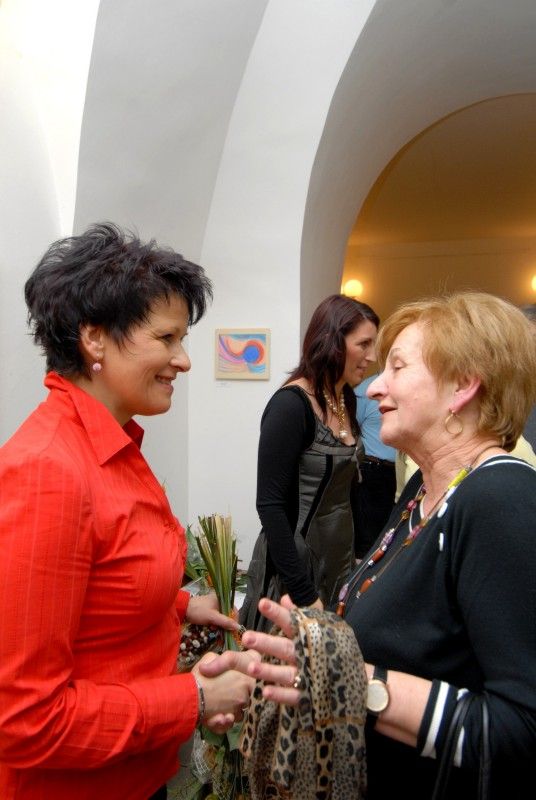 Zbořit mýty o úřednících uspořádáním výstavy svých prací se rozhodly tři ženy zaměstnané jako úřednice na plzeňském magistrátu. Od dnešního (5.3.2012) dne odhalují návštěvníkům radnice a kolegům své „duše“. Výstava má příznačný název Duše úředníka a představuje obrazy, obrázky a ruční tvorbu Lenky Vovsové, Zdeňky Němcové a Heleny Frühbauerové, kolegyň z odboru vnitřní správy.