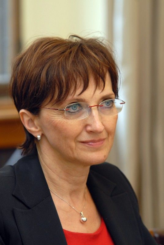 S projektem Plzeň – Evropské hlavní město kultury se do Plzně při své první oficiální návštěvě přijela (13.4.2012) podrobně seznámit ministryně kultury Alena Hanáková. Na plzeňské radnici se sešla s primátorem Martinem Baxou, náměstkyní pro kulturu a cestovní ruch Evou Herinkovou, zástupci společnosti Plzeň 2015, Marcelou Krejsovou a Tomášem Froydou, a ředitelem Útvaru koordinace evropských projektů Erichem Benešem. Setkání byl přítomen i předseda poslaneckého klubu Zastupitelstva města Plzně za TOP 09 Michal Vozobule.