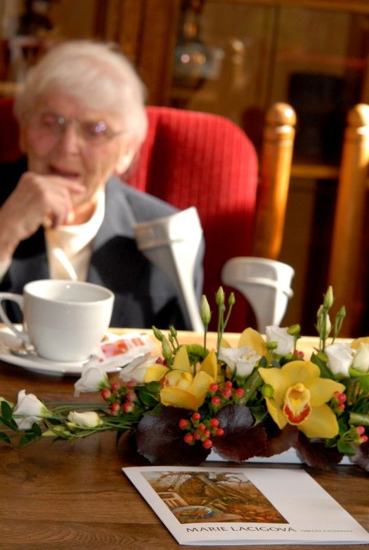 Obrazová výzdoba salonku primátora, činnost Unie výtvarných umělců plzeňské oblasti i skladba Artotéky města Plzně patřily mezi ústřední témata setkání primátora Martina Baxy a náměstkyně Evy Herinkové s výtvarnicí Marií Lacigovou (6.3.2013), které se u příležitosti jejího životního jubilea konalo ve středu odpoledne na radnici. Vzpomínalo se na její výtvarnické začátky, zaměstnání v oddělení propagace plzeňské Škodovky a anatomickém ústavu lékařské fakulty i na to, jak se jí splnil umělecký sen připravit ilustrace k pohádkám Boženy Němcové.