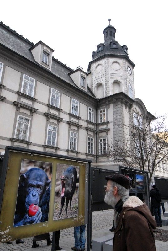 Výstava nejlepších a nejzajímavějších fotografií soutěže Plzeň říká: „Sýýýr“, kterou město vyhlásilo v minulém roce, zahájila sérii letošních venkovních expozic ve Smetanových sadech. Na jednadvaceti panelech jsou zveřejněny snímky, které zájemce zavedou k historickým památkám, ale i k romantickým zákoutím. Plzeň se na fotografiích představí také jako plnobarevná, náladová, noční, na jaře nebo na podzim. (foto: 12.3.2013)