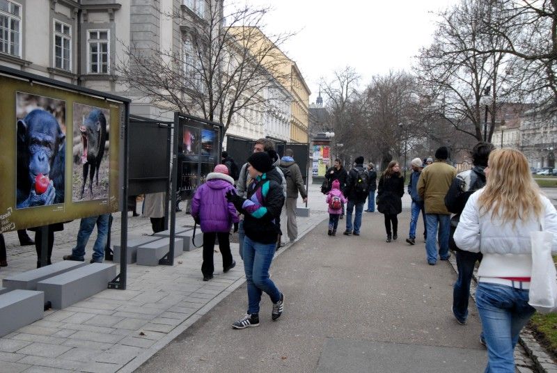 Výstava nejlepších a nejzajímavějších fotografií soutěže Plzeň říká: „Sýýýr“, kterou město vyhlásilo v minulém roce, zahájila sérii letošních venkovních expozic ve Smetanových sadech. Na jednadvaceti panelech jsou zveřejněny snímky, které zájemce zavedou k historickým památkám, ale i k romantickým zákoutím. Plzeň se na fotografiích představí také jako plnobarevná, náladová, noční, na jaře nebo na podzim. (foto: 12.3.2013)