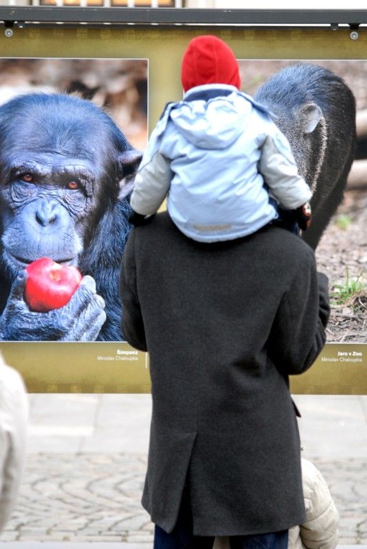 Výstava nejlepších a nejzajímavějších fotografií soutěže Plzeň říká: „Sýýýr“, kterou město vyhlásilo v minulém roce, zahájila sérii letošních venkovních expozic ve Smetanových sadech. Na jednadvaceti panelech jsou zveřejněny snímky, které zájemce zavedou k historickým památkám, ale i k romantickým zákoutím. Plzeň se na fotografiích představí také jako plnobarevná, náladová, noční, na jaře nebo na podzim. (foto: 12.3.2013)