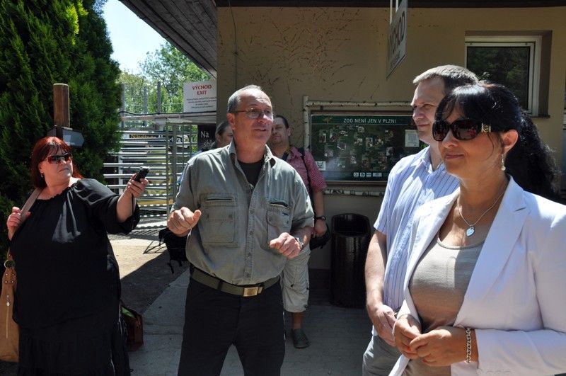 Na návštěvníky plzeňské zoo čeká v nadcházejících prázdninových měsících nová expozice. Prostřednictvím naučné stezky sestavené z 29 zastavení jim představí australské léto. Jednotlivé části expozice přibližují nejen unikátní faunu a floru nejmenšího kontinentu, ale zároveň návštěvníky seznamují i s Aboridžinci, původními obyvateli Austrálie, a jejich životem. Po dlouhých čtyřiceti letech se do místní zahrady opět vracejí australští psi dingo. Mezi další zajímavá zvířata patří ježura a nemohou zde samozřejmě chybět klokani, kterých zoo v Plzni chová devět druhů. (foto: 13.6.2013)