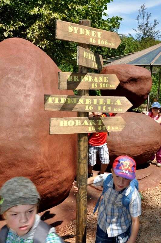 Na návštěvníky plzeňské zoo čeká v nadcházejících prázdninových měsících nová expozice. Prostřednictvím naučné stezky sestavené z 29 zastavení jim představí australské léto. Jednotlivé části expozice přibližují nejen unikátní faunu a floru nejmenšího kontinentu, ale zároveň návštěvníky seznamují i s Aboridžinci, původními obyvateli Austrálie, a jejich životem. Po dlouhých čtyřiceti letech se do místní zahrady opět vracejí australští psi dingo. Mezi další zajímavá zvířata patří ježura a nemohou zde samozřejmě chybět klokani, kterých zoo v Plzni chová devět druhů. (foto: 13.6.2013)