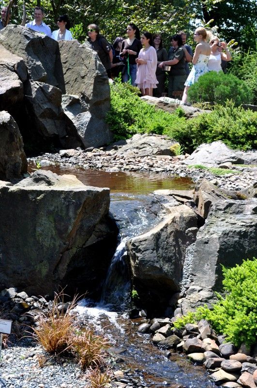 Na návštěvníky plzeňské zoo čeká v nadcházejících prázdninových měsících nová expozice. Prostřednictvím naučné stezky sestavené z 29 zastavení jim představí australské léto. Jednotlivé části expozice přibližují nejen unikátní faunu a floru nejmenšího kontinentu, ale zároveň návštěvníky seznamují i s Aboridžinci, původními obyvateli Austrálie, a jejich životem. Po dlouhých čtyřiceti letech se do místní zahrady opět vracejí australští psi dingo. Mezi další zajímavá zvířata patří ježura a nemohou zde samozřejmě chybět klokani, kterých zoo v Plzni chová devět druhů. (foto: 13.6.2013)