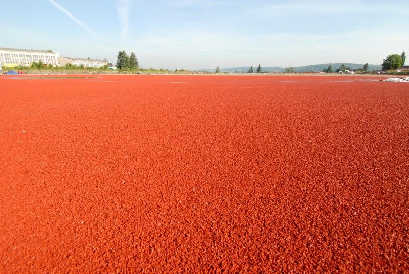 První etapa výstavby atletického stadionu se chýlí ke konci. Ve Vejprnické ulici byla vybudována infrastruktura a připravena atletická dráha. Nyní na ni stavebníci pokládají tartan (29.5.2012). Pokud městská rada na svém čtvrtečním jednání (31. 5.) schválí uzavření smlouvy s občanským sdružením AK Škoda Plzeň, budou atleti moci v nejbližší době využívat alespoň část stadionu. Druhá etapa je ve fázi vypsaného výběrového řízení na zhotovitele. Výstavba tribuny včetně zázemí, běžeckého tunelu, komunikace a parkoviště by tak měla začít v červenci.