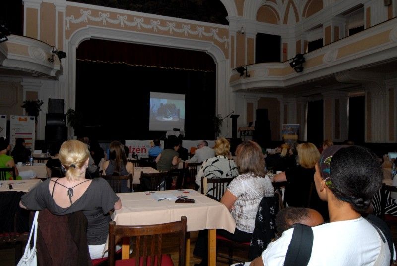 Integrace cizinců je jedním z klíčových pilířů sociální politiky města Plzně. Odbor kultury a Centrum na podporu integrace cizinců Plzeňského kraje zorganizovaly akci s příznačným názvem „Naše – vaše kultura 2012“, jejímž cílem bylo prostřednictvím kultury tento proces usnadnit. Program minifestivalu, který se uskutečnil v úterý 29.5.2012 odpoledne a večer v kulturním domě Peklo, byl rozdělen na dvě části. První, odbornou část tvořila diskuze k aktuální problematice sociokulturní integrace cizinců. Druhý blok byl připraven pro širokou veřejnost bez rozdílu národnosti. Na návštěvníky čekal bohatý program včetně ochutnávky exotických pokrmů.