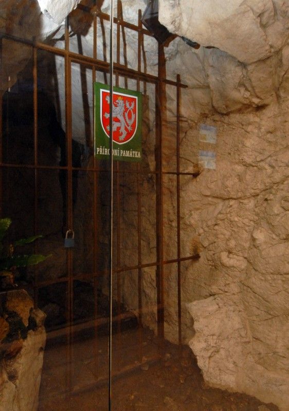 Unikátní expozici Svět v podzemí otevřela 26.6.2012 plzeňská zoologická zahrada v prostorách bývalé německé podzemní pevnosti. Návštěvníci se zde mohou setkat s nejrůznějšími tvory, jejichž přirozeným prostředním je tma či život v jeskyních, studnách, sklepech či kanálech. K vidění jsou zde netopýři, ospalci, píďalky, ale také nejrůznější pavouci, žáby a brouci. Z blízka, ale bezpečně za sklem je tak možné si prohlédnout šváby, stonožku, a také třeba cvrčka. Závěrečná část expozice se věnuje vývoji života od prahor po prvohory.