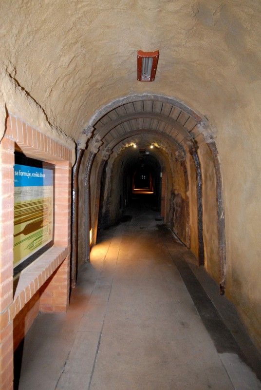 Unikátní expozici Svět v podzemí otevřela 26.6.2012 plzeňská zoologická zahrada v prostorách bývalé německé podzemní pevnosti. Návštěvníci se zde mohou setkat s nejrůznějšími tvory, jejichž přirozeným prostředním je tma či život v jeskyních, studnách, sklepech či kanálech. K vidění jsou zde netopýři, ospalci, píďalky, ale také nejrůznější pavouci, žáby a brouci. Z blízka, ale bezpečně za sklem je tak možné si prohlédnout šváby, stonožku, a také třeba cvrčka. Závěrečná část expozice se věnuje vývoji života od prahor po prvohory.