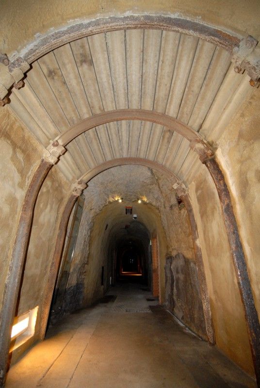 Unikátní expozici Svět v podzemí otevřela 26.6.2012 plzeňská zoologická zahrada v prostorách bývalé německé podzemní pevnosti. Návštěvníci se zde mohou setkat s nejrůznějšími tvory, jejichž přirozeným prostředním je tma či život v jeskyních, studnách, sklepech či kanálech. K vidění jsou zde netopýři, ospalci, píďalky, ale také nejrůznější pavouci, žáby a brouci. Z blízka, ale bezpečně za sklem je tak možné si prohlédnout šváby, stonožku, a také třeba cvrčka. Závěrečná část expozice se věnuje vývoji života od prahor po prvohory.