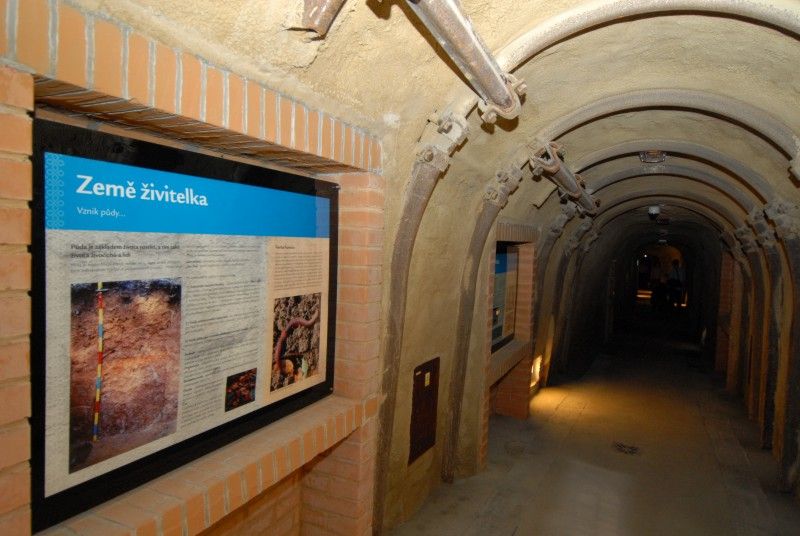 Zoo láká na Svět v podzemí