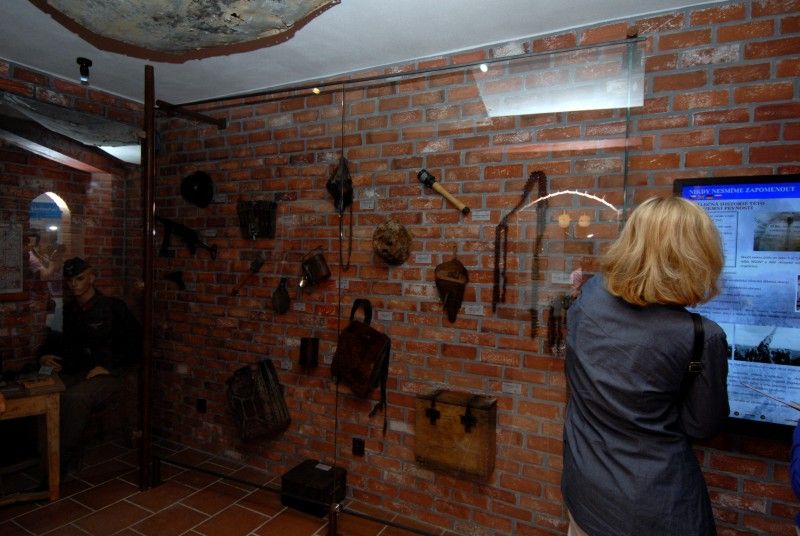 Unikátní expozici Svět v podzemí otevřela 26.6.2012 plzeňská zoologická zahrada v prostorách bývalé německé podzemní pevnosti. Návštěvníci se zde mohou setkat s nejrůznějšími tvory, jejichž přirozeným prostředním je tma či život v jeskyních, studnách, sklepech či kanálech. K vidění jsou zde netopýři, ospalci, píďalky, ale také nejrůznější pavouci, žáby a brouci. Z blízka, ale bezpečně za sklem je tak možné si prohlédnout šváby, stonožku, a také třeba cvrčka. Závěrečná část expozice se věnuje vývoji života od prahor po prvohory.