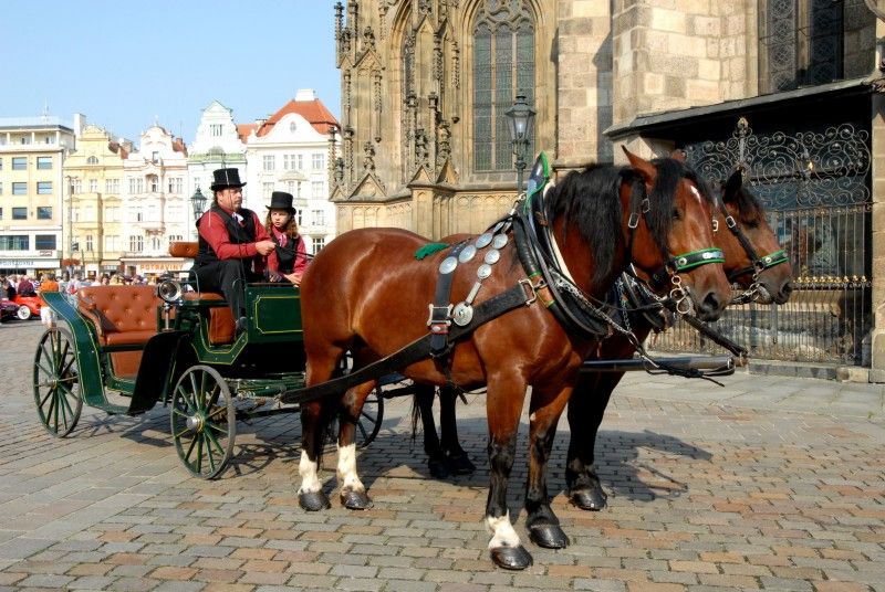 Kolona dvou desítek historických vozidel v čele se závodním vozem Tatra šestinásobného vítěze Rallye Paříž – Dakar Karla Lopraise odstartovala z plzeňského náměstí Republiky (27.7.2012) svoji třídenní cestu po nejzajímavějších památkách Plzeňského kraje. Trasu 444 km dlouhou zakončí v neděli odpoledne na nádvoří Plzeňského Prazdroje.