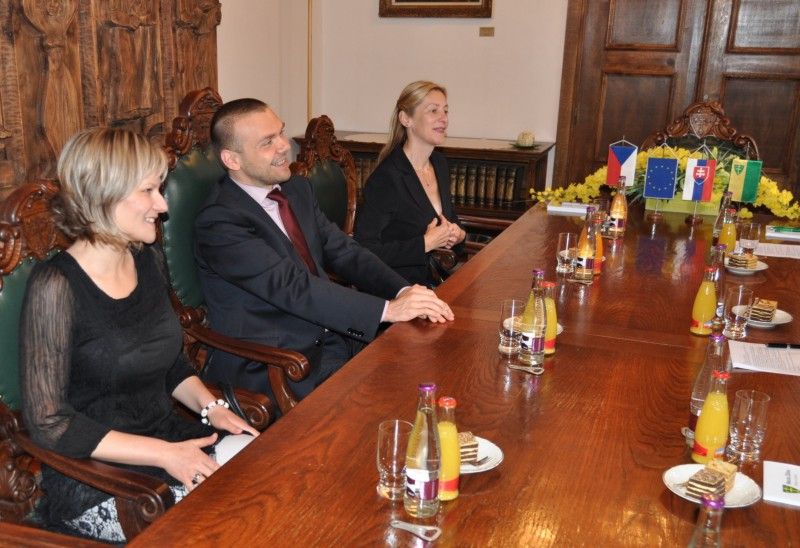 (foto: Černek, Zelenková) Dvoudenní návštěvy partnerského města Žilina se ve dnech 9. a 10. srpna 2012 zúčastnili primátor Martin Baxa a náměstkyně Eva Herinková. Na žilinské radnici je v pátek dopoledne v zastoupení primátora Igora Chomy oficiálně přijala Slavomíra Brezovská. Společně hovořili především o sociálních záležitostech, školství a dopravě.
V souvislosti s Dnem evropské kultury, který se v srpnu již čtvrtým rokem koná jako Mezinárodní festival prezentující kulturu a umění partnerských měst Žiliny, se plzeňská delegace také setkala s některými zástupci ostatních partnerských měst z České republiky, Ukrajiny a Srbska.