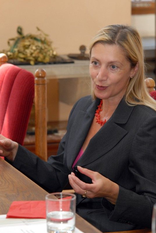 Šest účastníků olympiády v Londýně, čtyři střelce, triatlonistu a dráhového cyklistu, kteří mají blízký vztah k plzeňskému regionu, přijali v pátek (7.9.2012) po poledni na radnici primátor Martin Baxa a náměstkyně Eva Herinková. Cílem setkání bylo především sportovcům poděkovat za výbornou reprezentaci města a regionu na XXX. letních olympijských hrách, které bezesporu patřily k největším sportovním událostem letošního roku. (Adéla Sýkorová (střelba), Lenka Marušková (střelba), Přemysl Švarc (triatlon), Martin Podhráský (střelba), Petr Kelemen (dráhová cyklistika) a Martin Strnad (střelba))