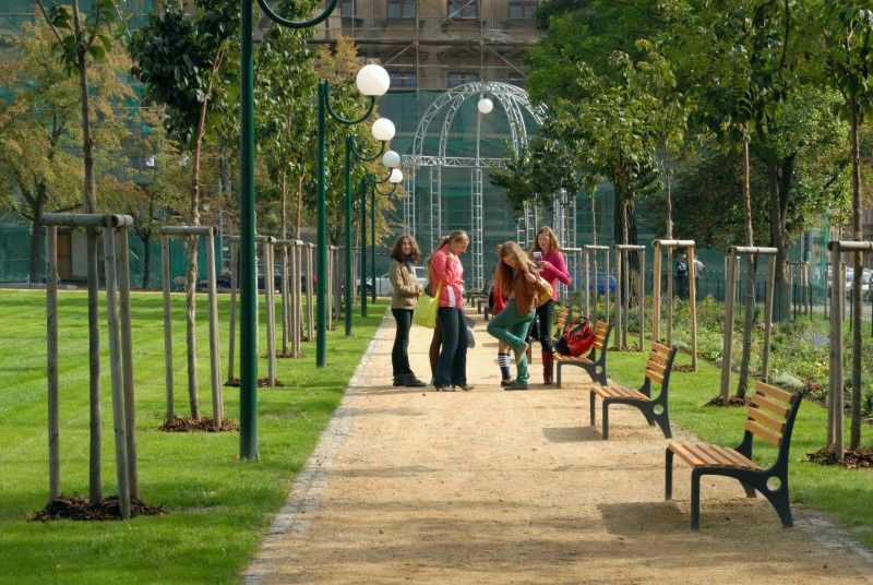 Na Mikulášské náměstí se vrátily lipové aleje