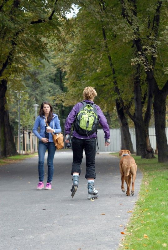 Po roce rekonstrukčních prací a stavebních úprav mohou Plzeňané od 24.9.2012 využívat další relaxační zónu v blízkosti centrální části města. Výrazná proměna území u soutoku řek Radbuzy a Mže nyní nabízí nevšední potenciál pro každodenní rekreaci a odpočinek. Projektem s celkovými náklady ve výši 71,6 milionu korun bez DPH se Plzni podařilo zhodnotit místo nejen z hlediska rekreačního a sportovního, ale i z hlediska ekologického a krajinného. Revitalizace území Štruncových sadů naplnila jednu z klíčových investic do kulturní a volnočasové infrastruktury spojené s projektem Plzeň – Evropské hlavní město kultury 2015.
