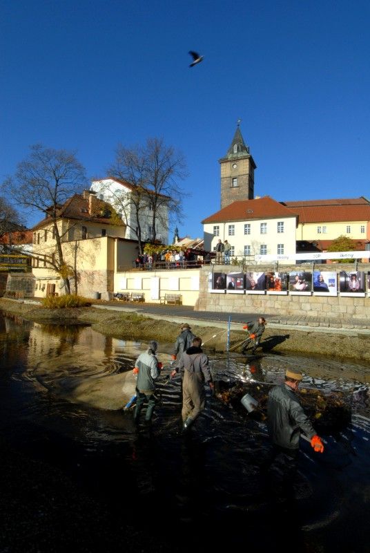 Pracovníci Správy veřejného statku města Plzně dnes (31.10.2012) provedli výlov Mlýnské strouhy. Odlov okrasných ryb je prováděn každoročně, protože vodní nádrž nemá pro jejich přezimování dostatečnou hloubku. Ze svého zimoviště se ryby vrátí zpátky na jaře.