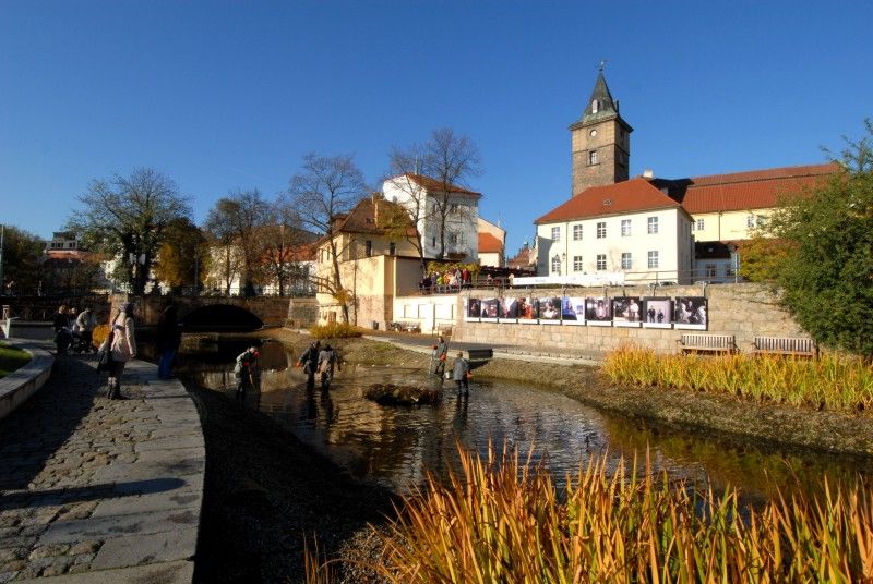 Pracovníci Správy veřejného statku města Plzně dnes (31.10.2012) provedli výlov Mlýnské strouhy. Odlov okrasných ryb je prováděn každoročně, protože vodní nádrž nemá pro jejich přezimování dostatečnou hloubku. Ze svého zimoviště se ryby vrátí zpátky na jaře.