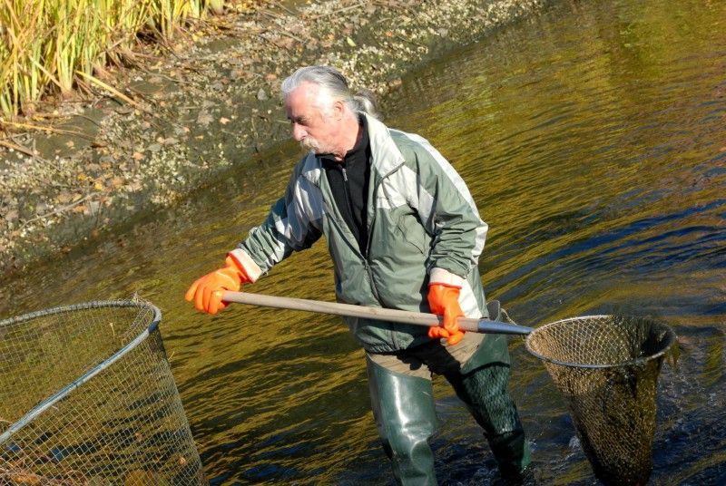 Pracovníci Správy veřejného statku města Plzně dnes (31.10.2012) provedli výlov Mlýnské strouhy. Odlov okrasných ryb je prováděn každoročně, protože vodní nádrž nemá pro jejich přezimování dostatečnou hloubku. Ze svého zimoviště se ryby vrátí zpátky na jaře.