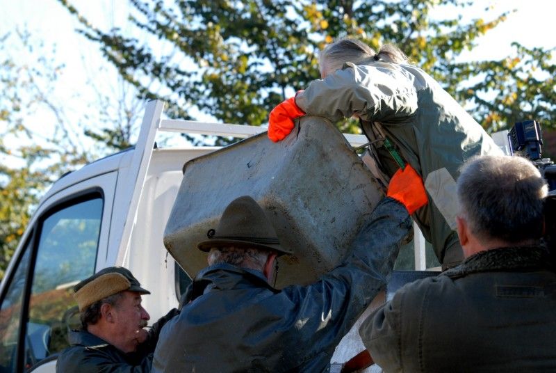 Pracovníci Správy veřejného statku města Plzně dnes (31.10.2012) provedli výlov Mlýnské strouhy. Odlov okrasných ryb je prováděn každoročně, protože vodní nádrž nemá pro jejich přezimování dostatečnou hloubku. Ze svého zimoviště se ryby vrátí zpátky na jaře.