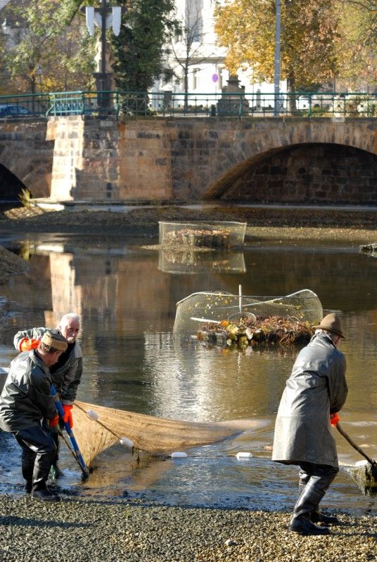 Pracovníci Správy veřejného statku města Plzně dnes (31.10.2012) provedli výlov Mlýnské strouhy. Odlov okrasných ryb je prováděn každoročně, protože vodní nádrž nemá pro jejich přezimování dostatečnou hloubku. Ze svého zimoviště se ryby vrátí zpátky na jaře.