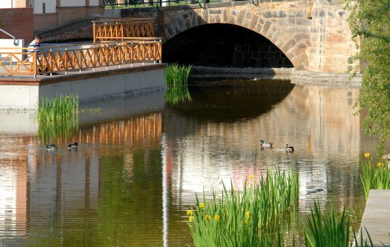 Mlýnská strouha - jedno z nejkrásnějších míst v centru města Plzně