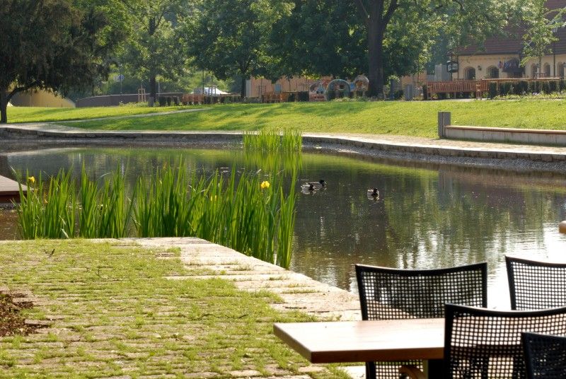 Mlýnská strouha - jedno z nejkrásnějších míst v centru města Plzně