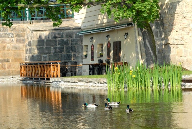 Mlýnská strouha - jedno z nejkrásnějších míst v centru města Plzně