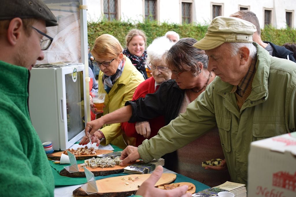 Den Plzně v Senátu (foto: Z. Kubalová, 1.9.2018)