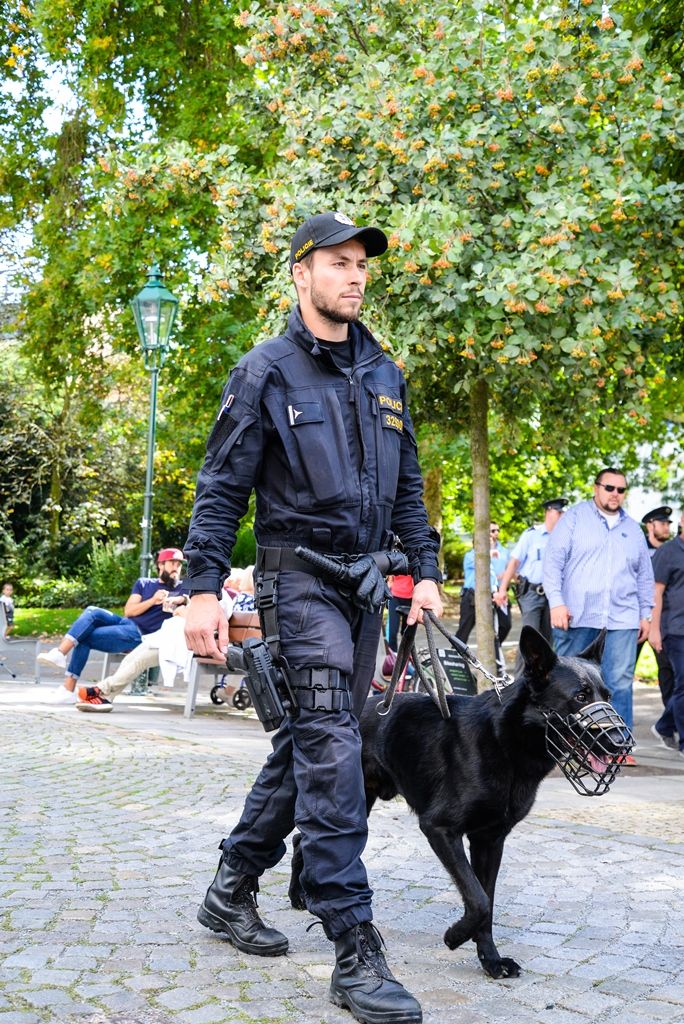 Preventivní kontrola osob bez domova v sadovém okruhu (foto: M. Pecuch, 10.9.2018)