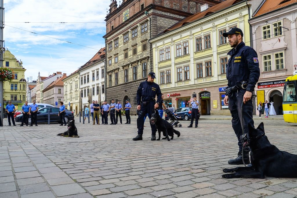 Preventivní kontrola osob bez domova v sadovém okruhu (foto: M. Pecuch, 10.9.2018)