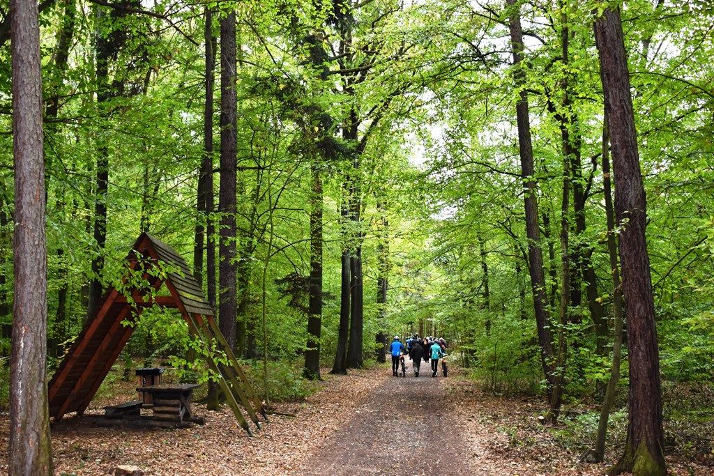 Naučná stezka Zábělá (foto: M. Fialová, 3.10.2018)