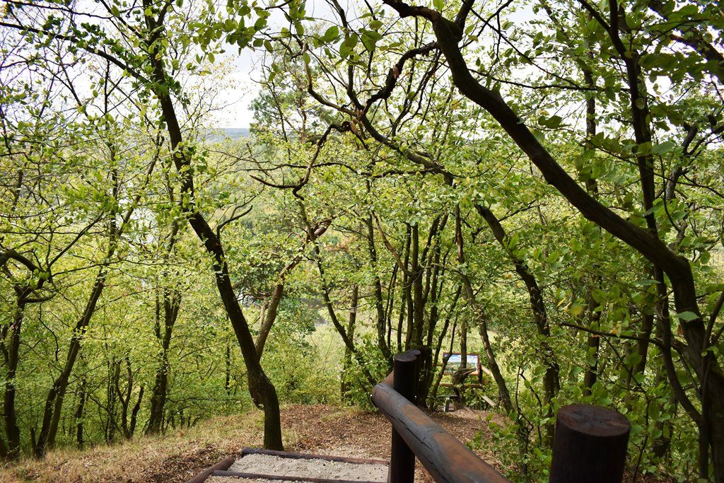 Naučná stezka Zábělá (foto: M. Fialová, 3.10.2018)