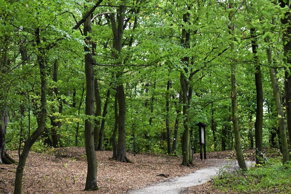 Naučná stezka Zábělá (foto: M. Fialová, 3.10.2018)