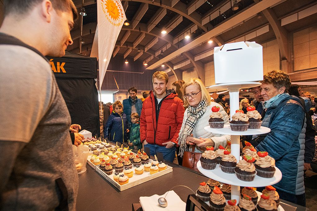 Oslavy vzniku republiky 2018 - Spalovna Chotíkov, Depo2015, Průvod světel (foto: M. Chaloupka, 28.10.2018)
