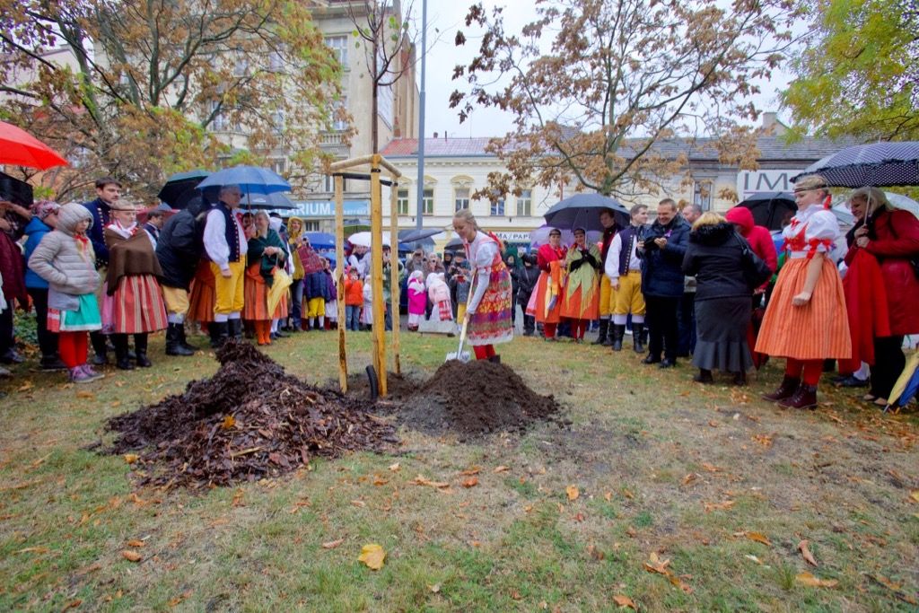 Oslavy vzniku republiky 2018 - náměstí T. G. Masaryka (foto: J. Marek, 28.10.2018)
