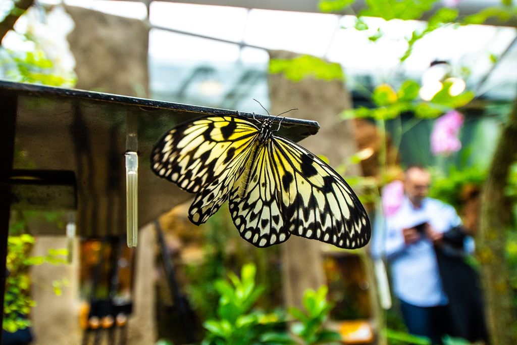 Nový tropický pavilon v Zoo Plzeň