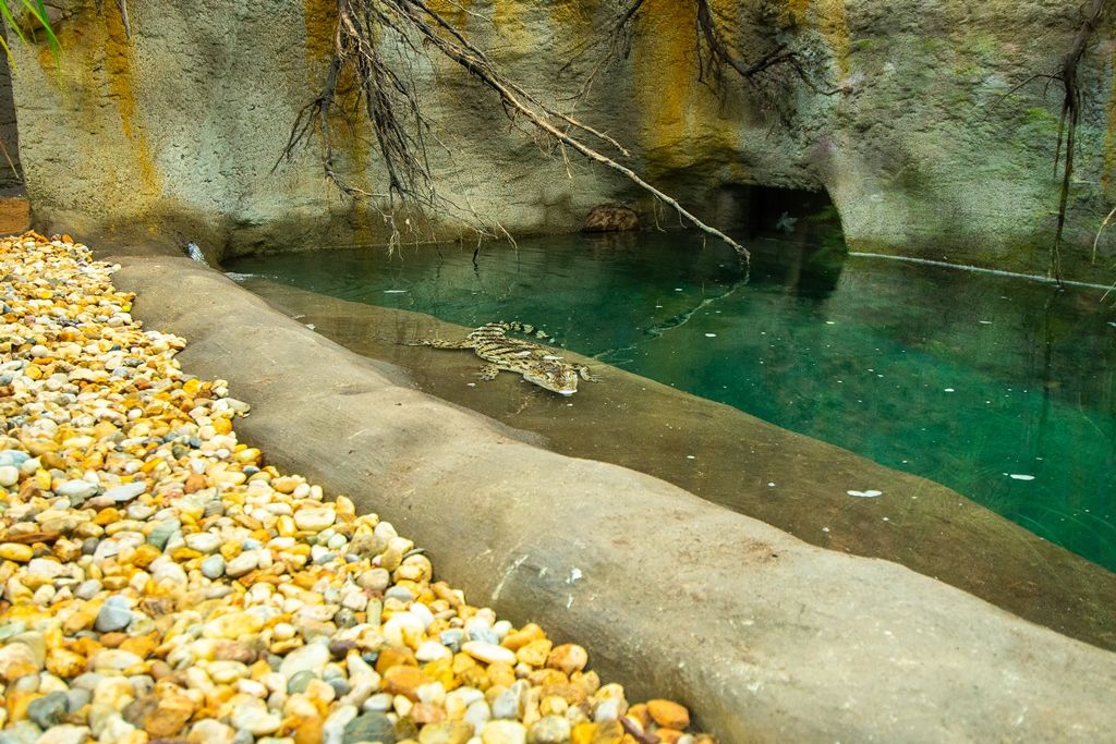 Nový tropický pavilon v Zoo Plzeň (foto: M. Pecuch, 5.11.2018)