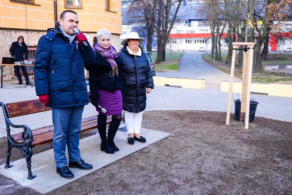 Sakura před Radovánkem připomíná sté výročí první republiky (foto: M. Pecuch, 29.11.2018)