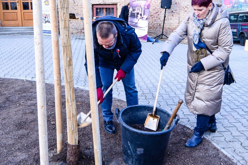 Sakura před Radovánkem připomíná sté výročí první republiky (foto: M. Pecuch, 29.11.2018)