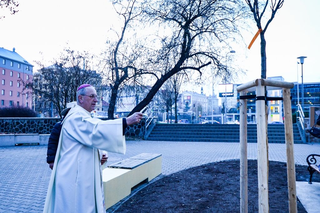 Sakura před Radovánkem připomíná sté výročí první republiky (foto: M. Pecuch, 29.11.2018)