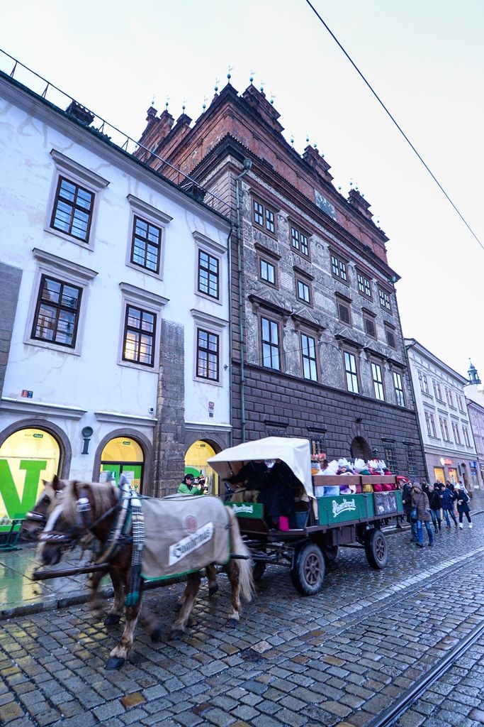 Na radnici odstartovala Tříkrálová sbírka (foto: M. Pecuch, 2.1.2019)