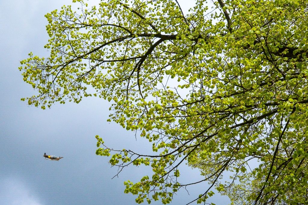 Slavnosti svobody 2019 - Pietní akty v Křimicích (foto: M. Pecuch, 27.4.2019)