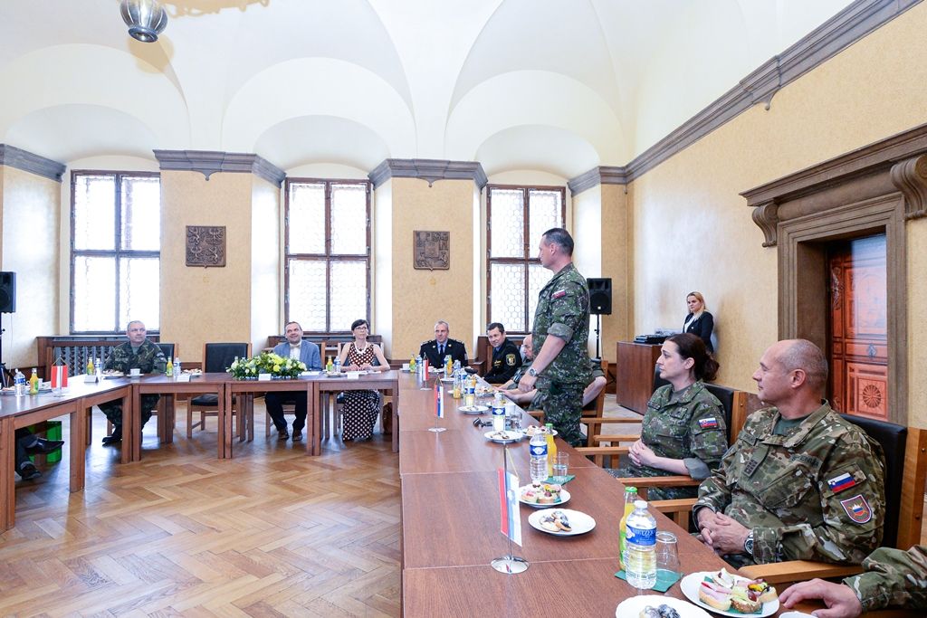 Přijetí velitelů posádkových velitelství na plzeňské radnici (foto: M. Pecuch, 11.6.2019)