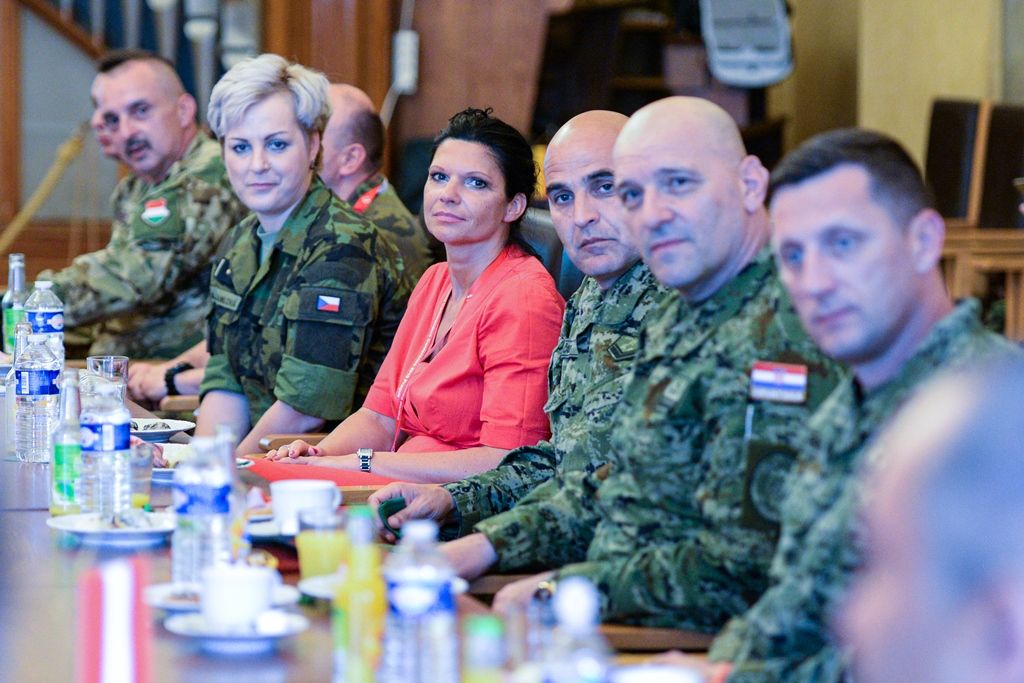 Přijetí velitelů posádkových velitelství na plzeňské radnici (foto: M. Pecuch, 11.6.2019)