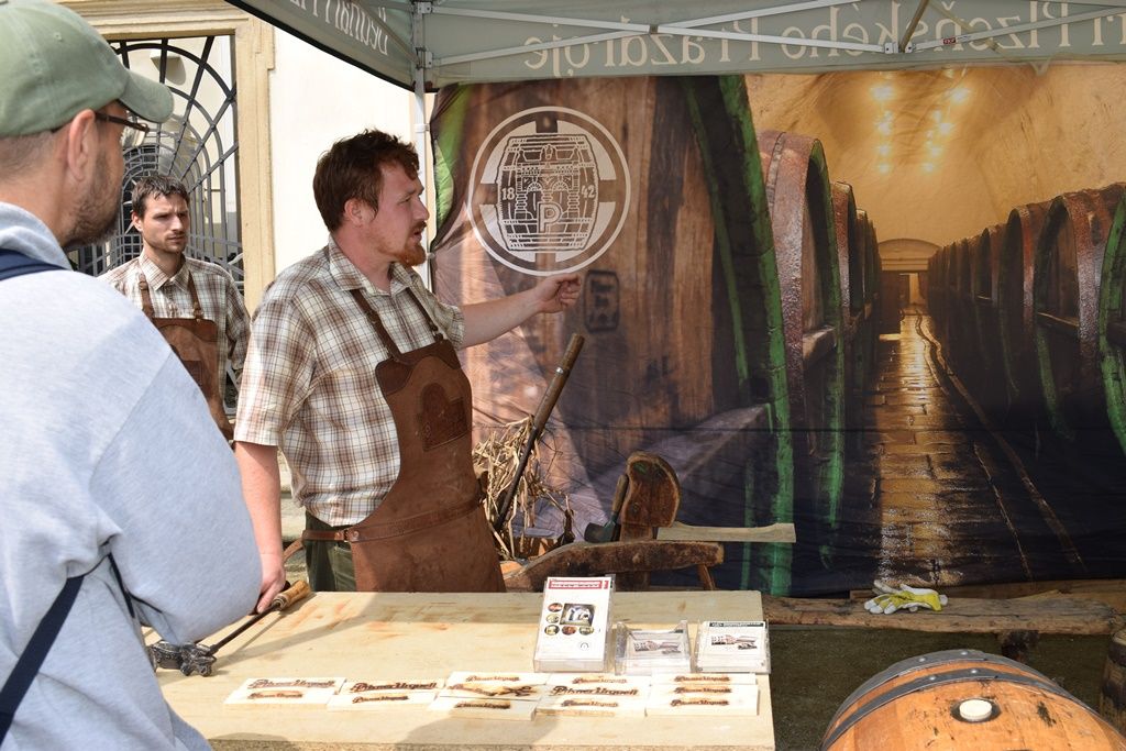 Den Plzně v Senátu 2019 (foto: Z. Kubalová, 22.6.2019)