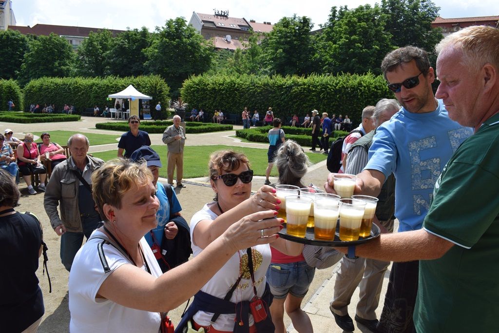 Den Plzně v Senátu 2019 (foto: Z. Kubalová, 22.6.2019)